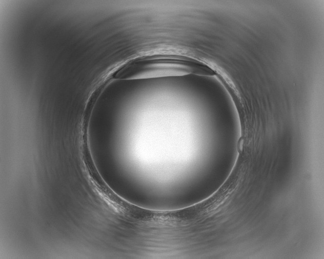 X0000073930437200608111204