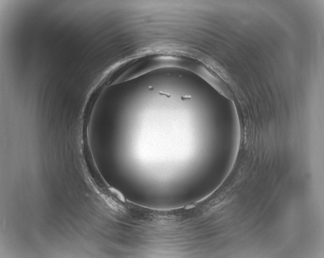 X0000073930438200608111204