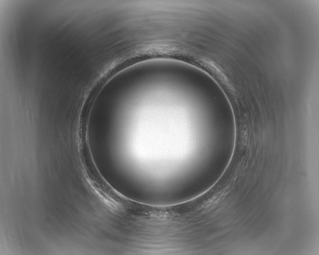 X0000073930439200608111204