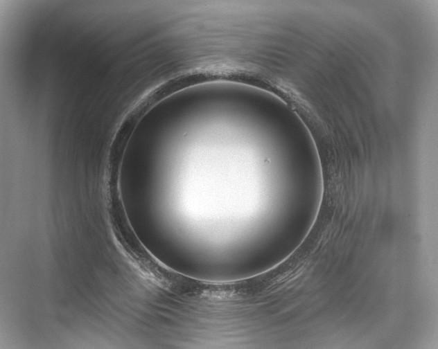 X0000073930440200608111204