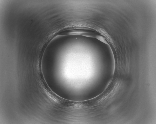 X0000073930441200608111204