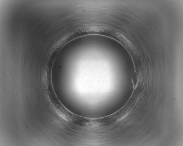 X0000073930444200608111204