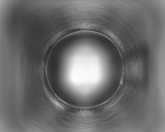 X0000073930445200608111204