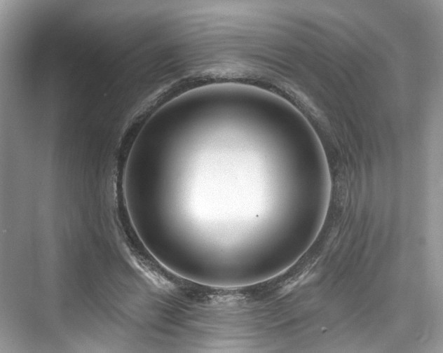 X0000073930446200608111204