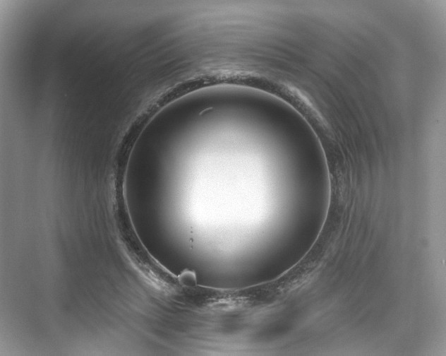 X0000073930447200608111204