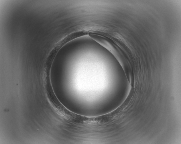 X0000073930448200608111204