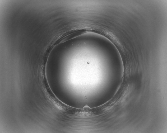 X0000073930449200608111204