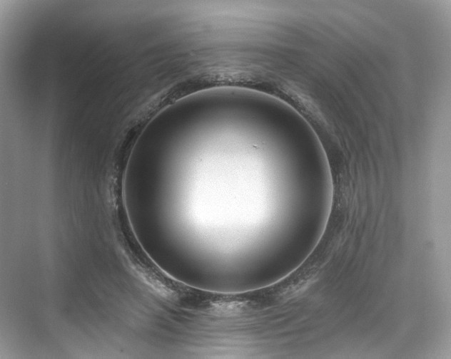 X0000073930450200608111204