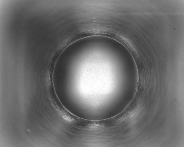 X0000073930453200608111204