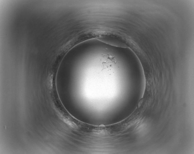 X0000073930454200608111204