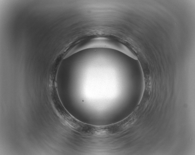 X0000073930456200608111205