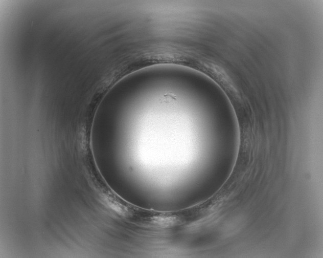 X0000073930457200608111205