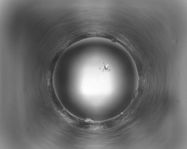 X0000073930458200608111205