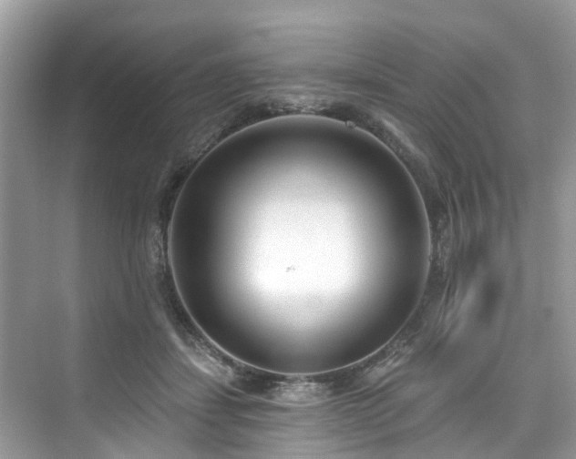 X0000073930459200608111205