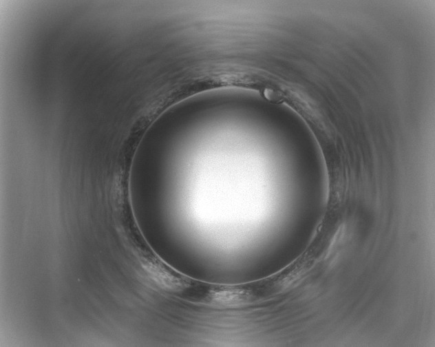 X0000073930461200608111205