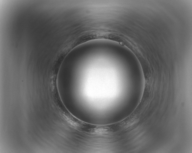 X0000073930462200608111205