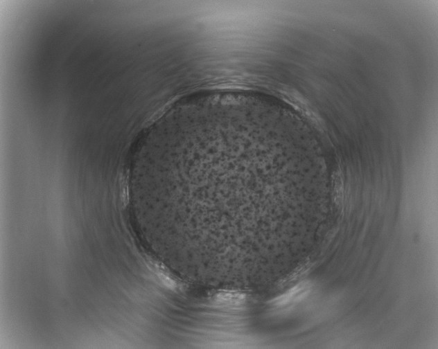 X0000073930471200608111205