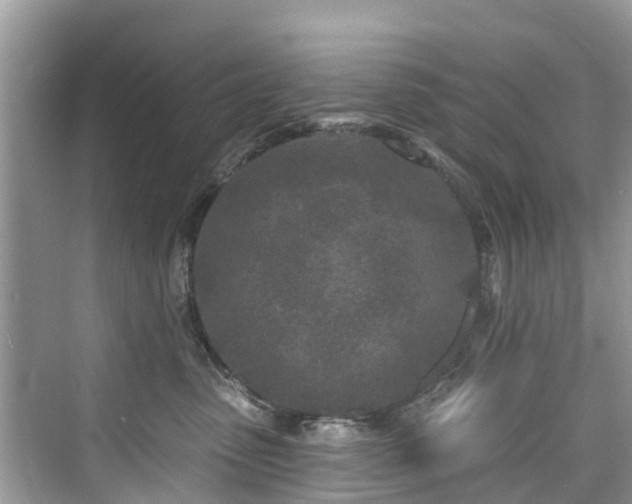 X0000073930475200608111205