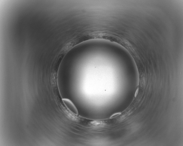 X0000073930477200608111205