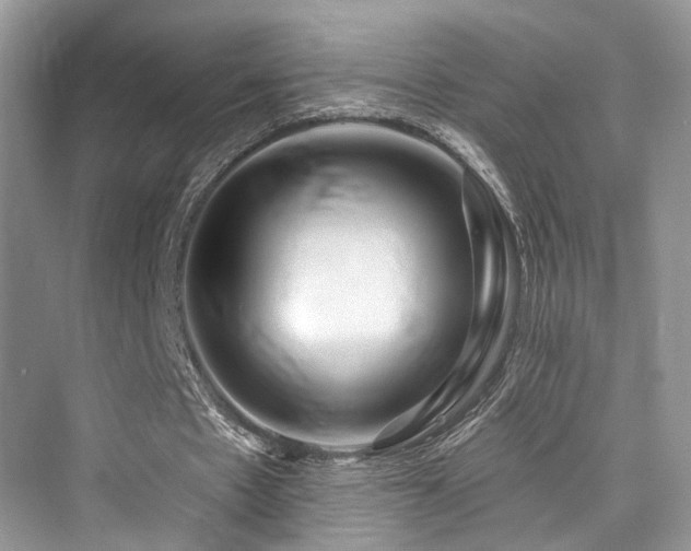 X0000073930481200608111204