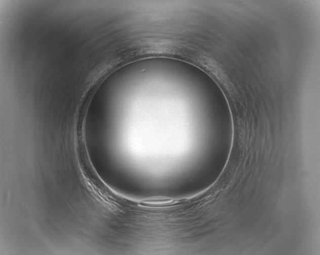 X0000073930482200608111204