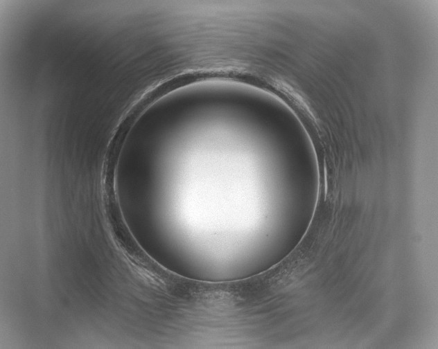 X0000073930483200608111204