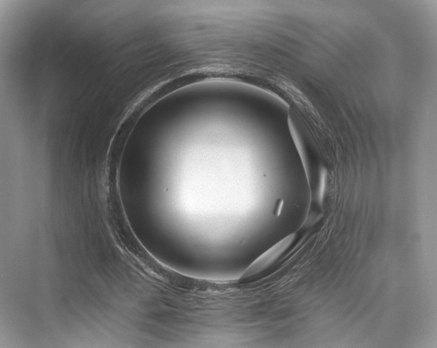 X0000073930484200608111204