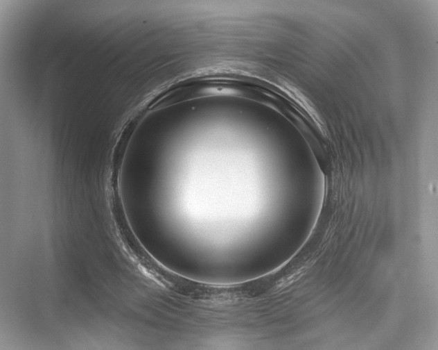 X0000073930485200608111204