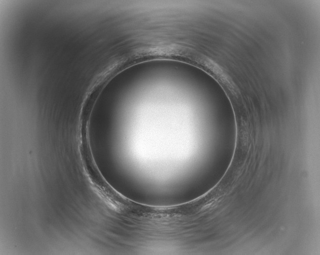 X0000073930486200608111204