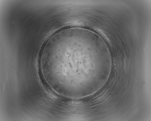 X0000073930487200608111204