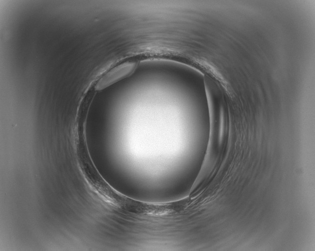 X0000073930488200608111204