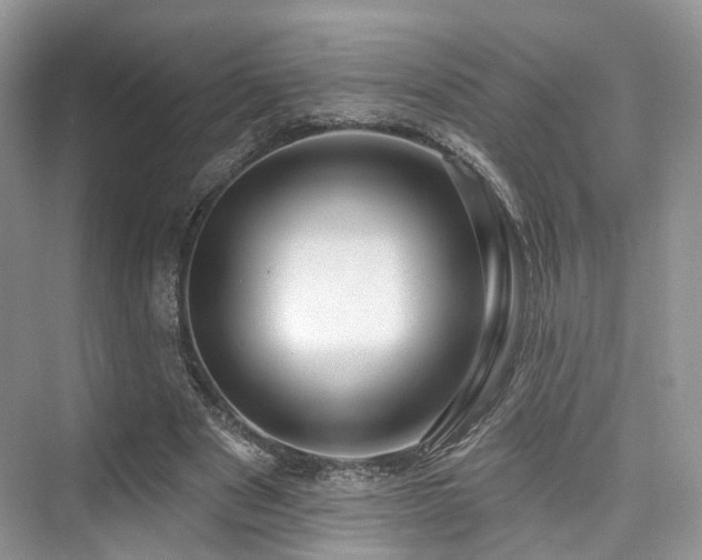 X0000073930489200608111204