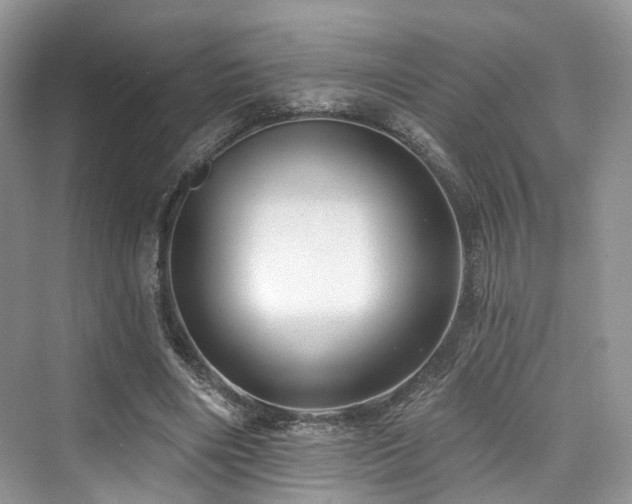 X0000073930490200608111204