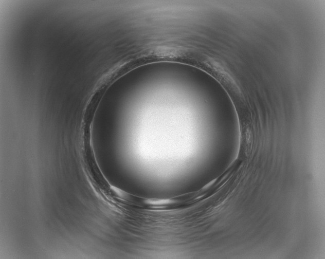 X0000073930492200608111204