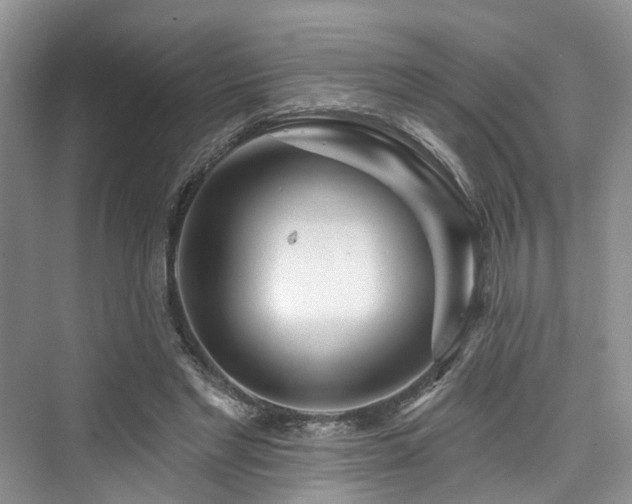 X0000073930493200608111204