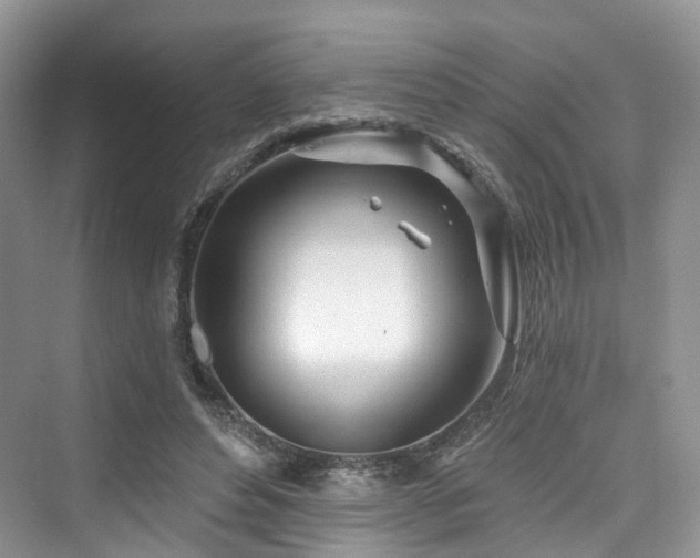 X0000073930496200608111204