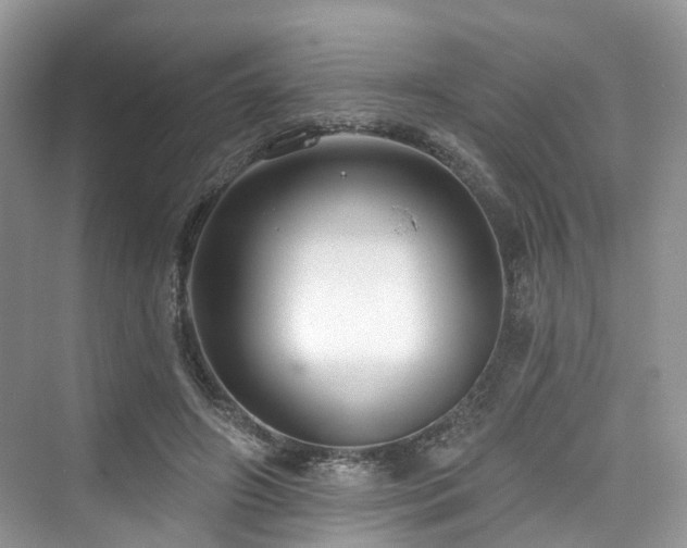 X0000073930498200608111204