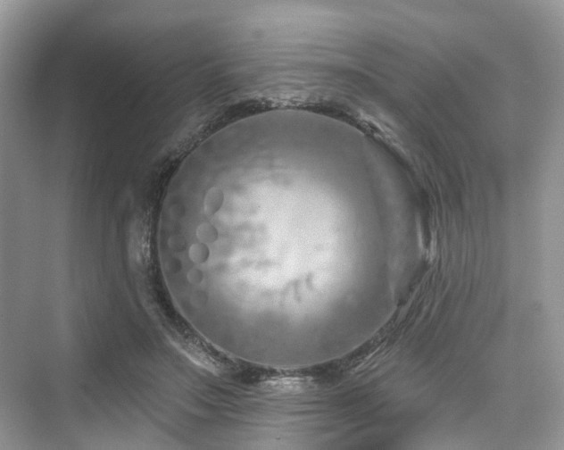 X0000073930499200608111204