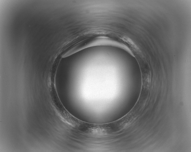 X0000073930500200608111204