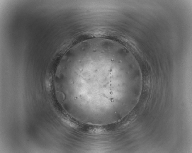 X0000073930503200608111204