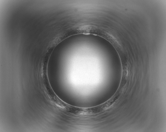 X0000073930504200608111204