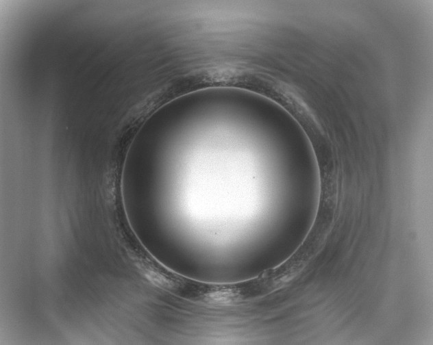 X0000073930505200608111204