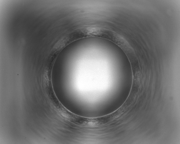 X0000073930506200608111204