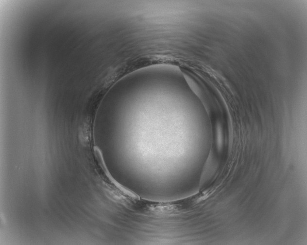 X0000073930517200608111204