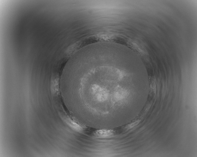 X0000073930526200608111203