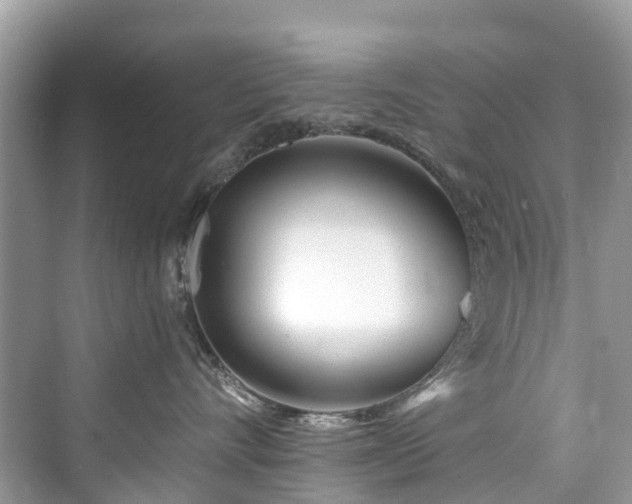 X0000073930528200608111203