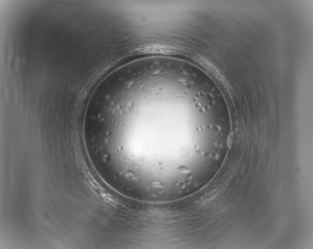 X0000073930529200608111203