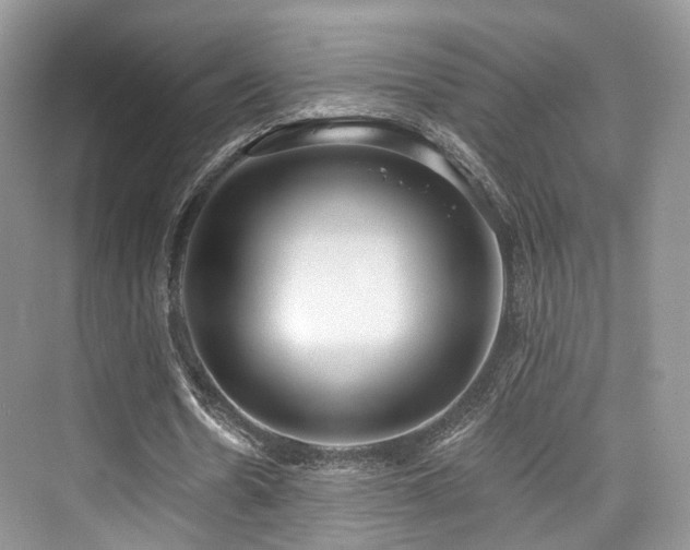 X0000073930530200608111203