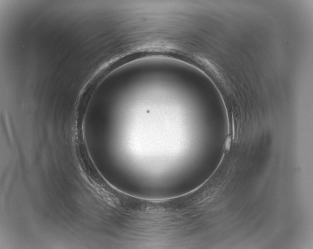 X0000073930531200608111203