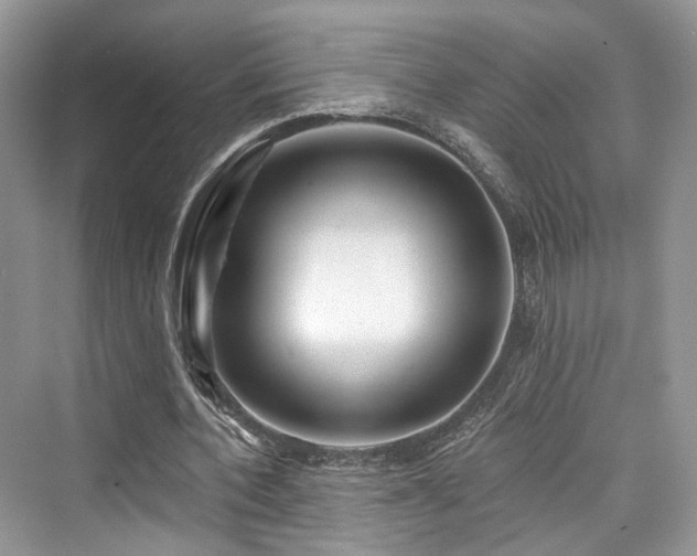 X0000073930532200608111203